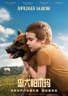 《忠犬帕尔玛》海报