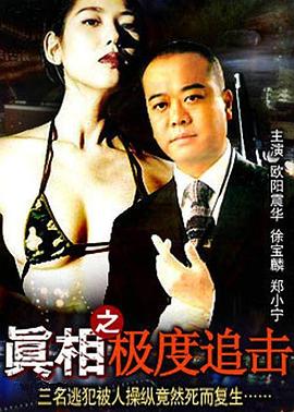 《真相之极度追击》海报
