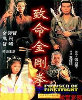 《致命金刚拳》海报
