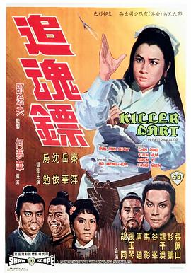《追魂镖》海报