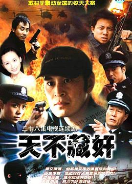 《天不藏奸》海报