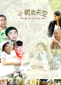 《小树的天空》海报