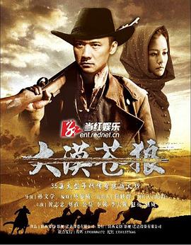 《大漠苍狼》海报