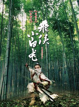 《飞侠小白龙》海报