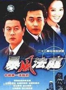 《暴风法庭》海报
