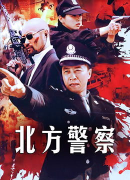 《北方警察》海报