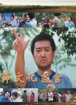 《薛文化当官记》海报