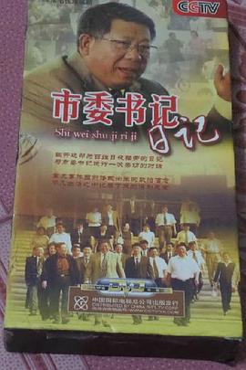 《市委书记日记》海报