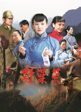 《野茱萸》海报