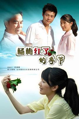 《杨梅红了的季节》海报