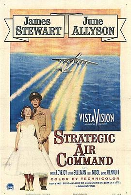 《战略空军》海报