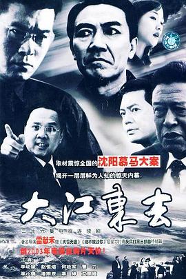 《大江东去2003》海报