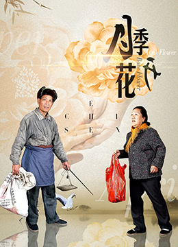 《月季花开》海报