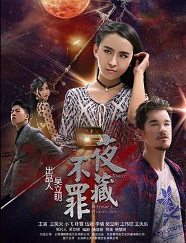 《夜不藏罪》海报