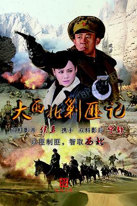 《大西北剿匪记》海报