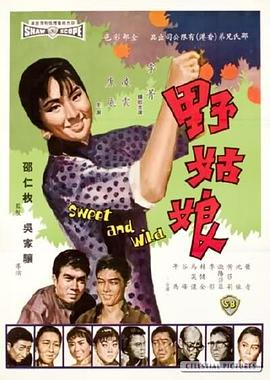 《野姑娘》海报
