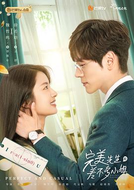 《完美先生和差不多小姐（速看版）》海报