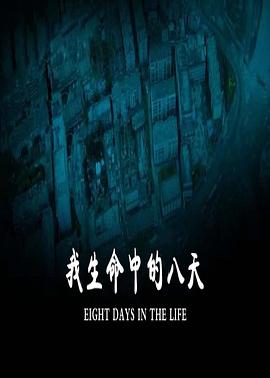 《我生命中的八天》海报