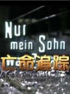 《亡命追踪》海报