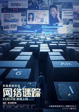 《网络谜踪》海报