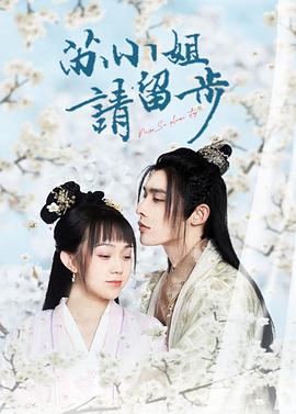 《苏小姐请留步》海报