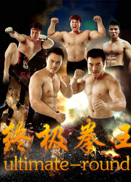《终极拳王》海报