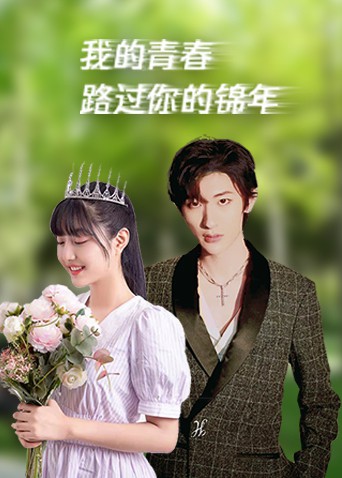 《我的青春路过你的锦年》海报