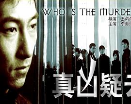 《真凶疑云》海报