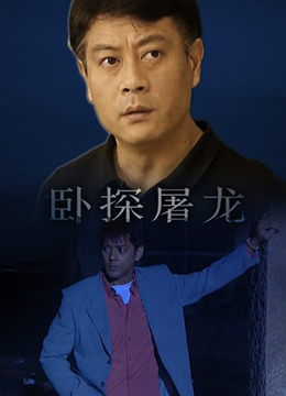 《卧探屠龙》海报