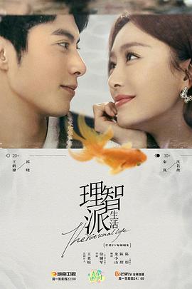 《理智派生活》海报