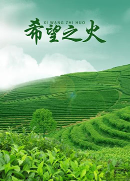 《希望之火》海报