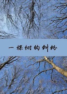 《一棵树的纠纷》海报