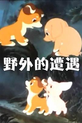 《野外的遭遇》海报