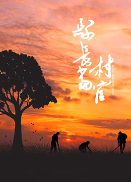 《县长当村官》海报