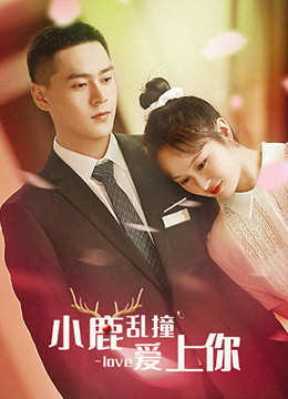 《小鹿乱撞爱上你》海报