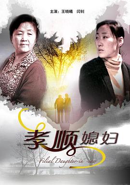 《孝顺媳妇》海报