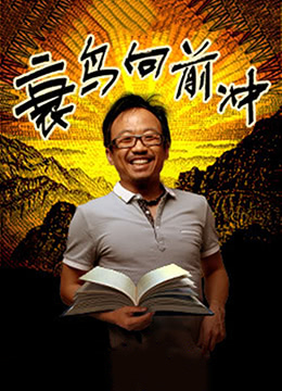 《衰鸟向前冲》海报