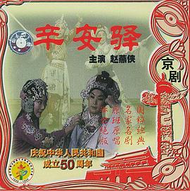 《辛安驿》海报