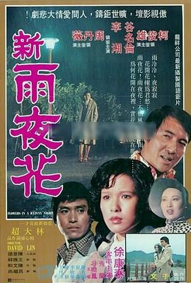 《新雨夜花》海报