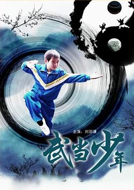 《武当少年》海报