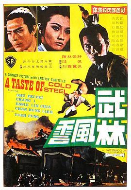 《武林风云》海报