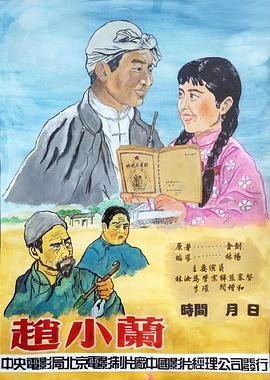 《赵小兰》海报