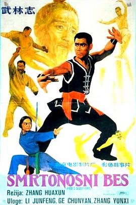 《武林志》海报