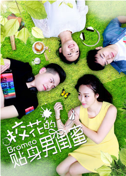 《校花的贴身男闺蜜》海报