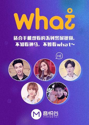 《what》海报