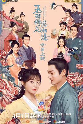 《玉面桃花总相逢（卫视版）》海报
