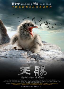 《天赐》海报