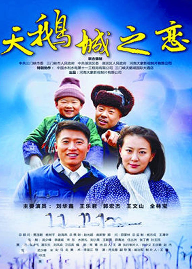 《天鹅城之恋》海报