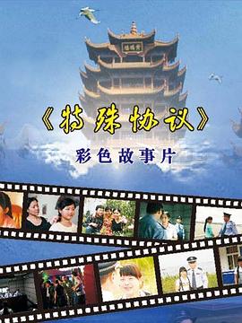 《特殊协议》海报