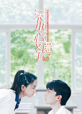 《一不小心又爱了》海报